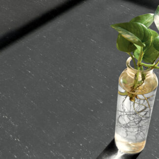 Trentino xf²™ (2,5 mm)