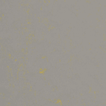 0551 Flashy Asphalt Grey