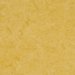0072 Golden Yellow