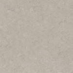 0091 Shiitake Mushroom