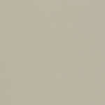 0085 Warm Concrete Grey