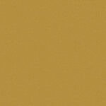 428 Ochre