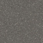 0656 Dark Warm Grey