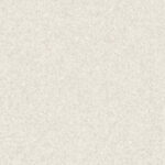 0969 Light Cool Beige