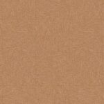 1581 Gentleman Abricot