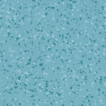 4477 Brazilia Maceio