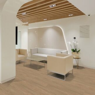 CREATION 55 LOOSELAY ACOUSTIC