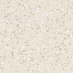 8386 Brazilia Boa Vista