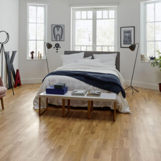 Professional (22 mm)