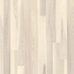 Jasan Seashell (1-Strip)*