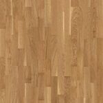 Dub Transparent Finale