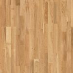 Dub Transparent Vivace