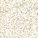 4205 Neoterra Dorata