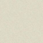 Terrazzo Concrete Beige