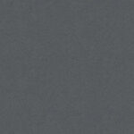 0113 Dark Cold Grey