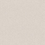 0219 Light Warm Beige