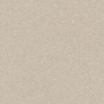 0481 Light Warm Beige