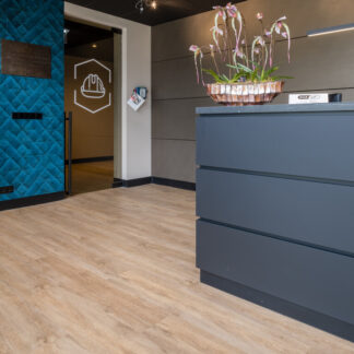 Therdex Dryback-Basic