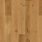 Dub Transparent Brown Animoso