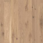 Dub Transparent Beige Vivo