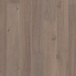 Dub India Grey Animoso