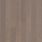 Dub Arizona Concerto