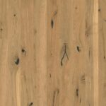 Dub Arizona Concerto