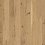 Dub Arizona Concerto