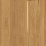 Dub Brown Transparent Andante