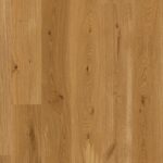 Dub Brown Transparent Animoso