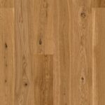 Dub Indian Summer Vivo