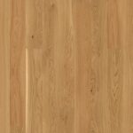 Dub Transparent Andante