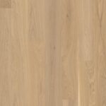 Dub Transparent Andante