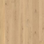 Dub Transparent Animoso