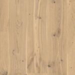 Oak Transparent Canyon