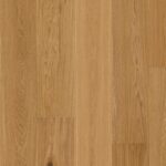 Oak Transparent Nature