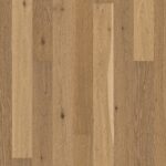 Dub Transparent Semi Smoked Animoso