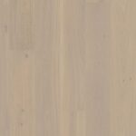 Dub Warm Cotton Animoso