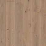 Dub Warm Grey Animoso