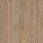 Dub Warm Grey Animoso