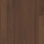 Orech Transparent Andante