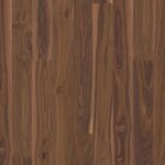 Orech Transparent Animoso